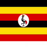 plastic pipe processing coustumer from uganda