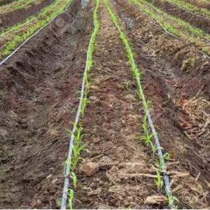 flat drip irrigation pipes