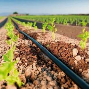 long round drip pipe